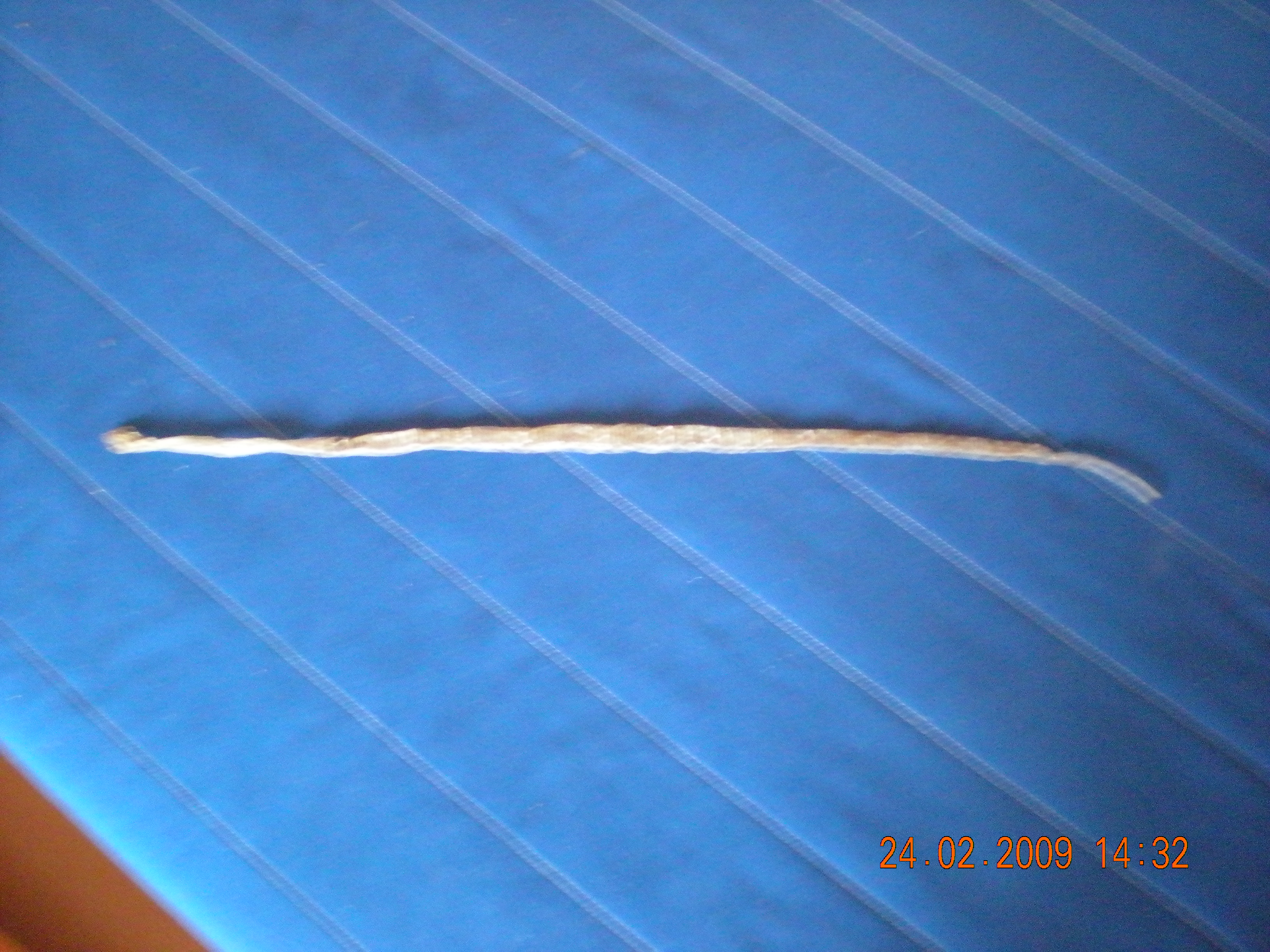 DSCN2524.JPG