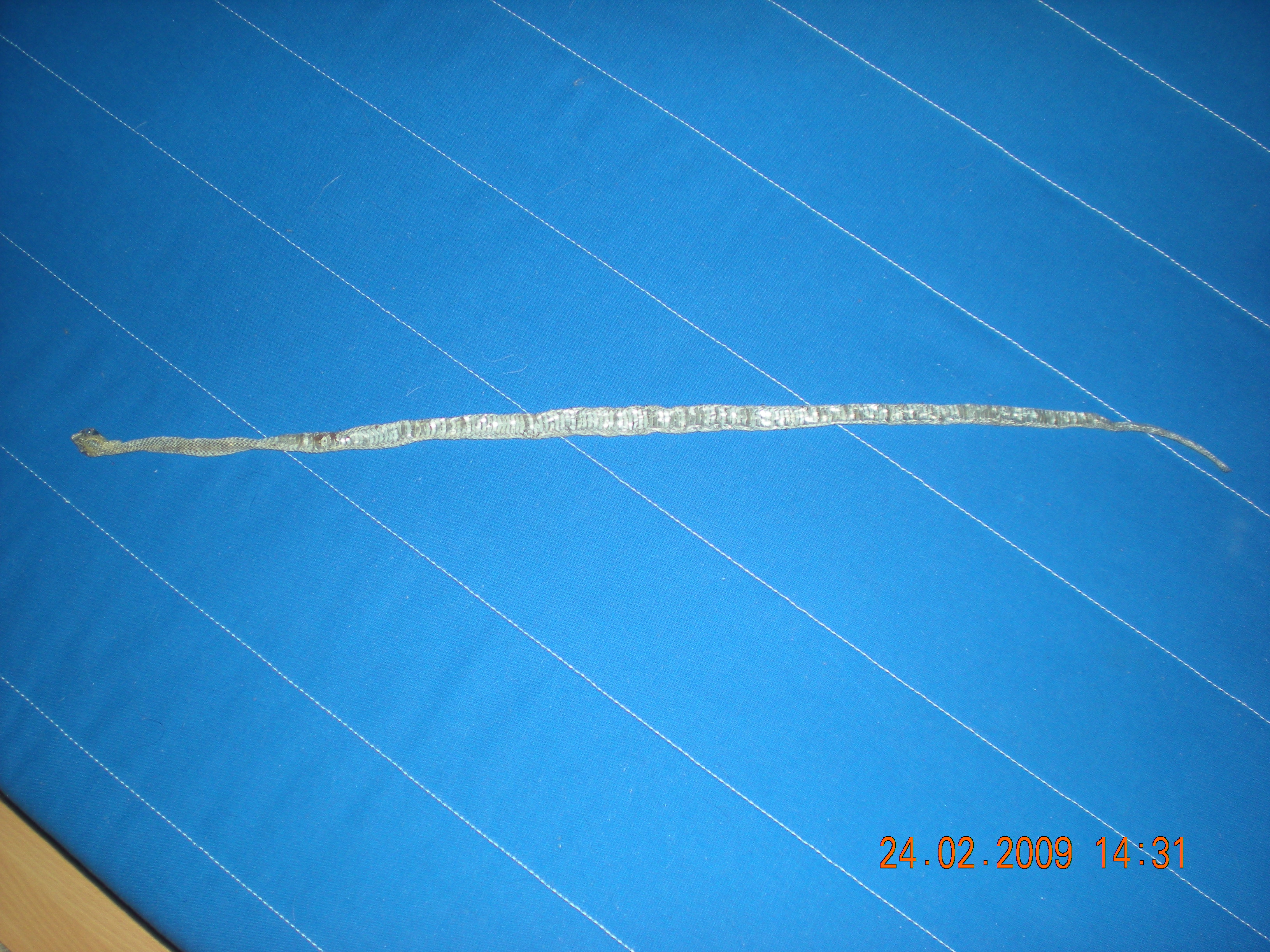 DSCN2522.JPG